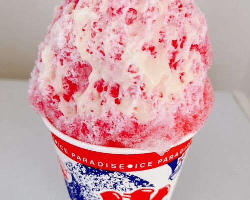 かき氷写真